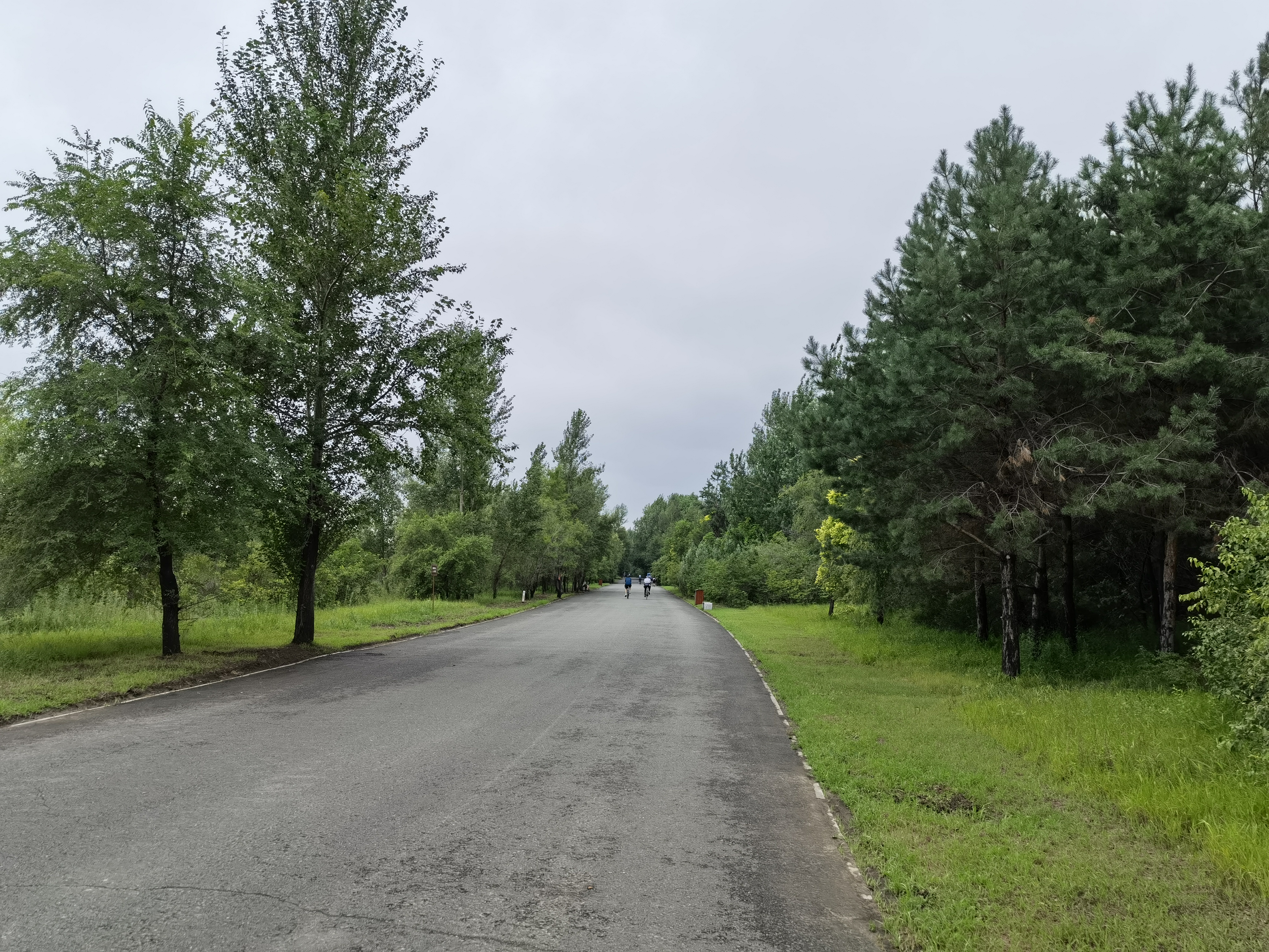 关于社区盾今晚走向成谜，多特蒙德战术微调，话题不断，训练强度明显提升的信息-开云官网