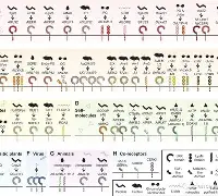 烀>艑轥怭礼)v?袑-开云体育